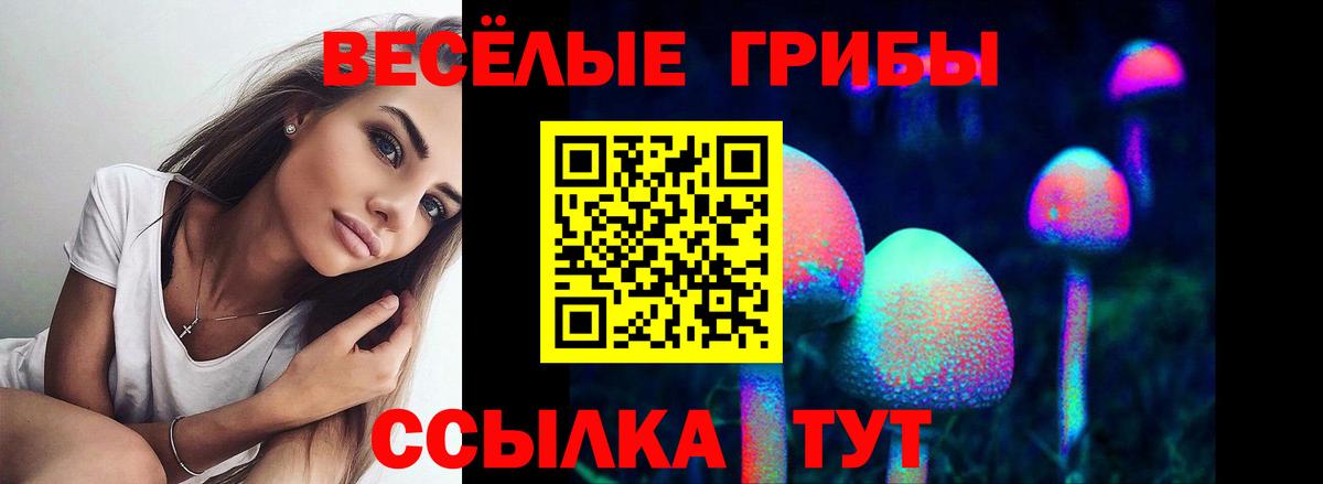 Псилоцибиновые грибы ЛСД Сорочинск